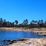 アパート Eliseo - Relax Junto Al Mar トレビエハ